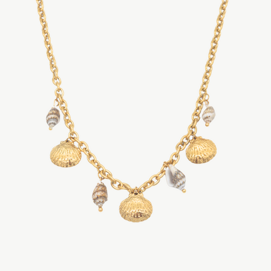 Callie Shell Necklace