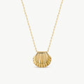 Shell 2.0 Necklace