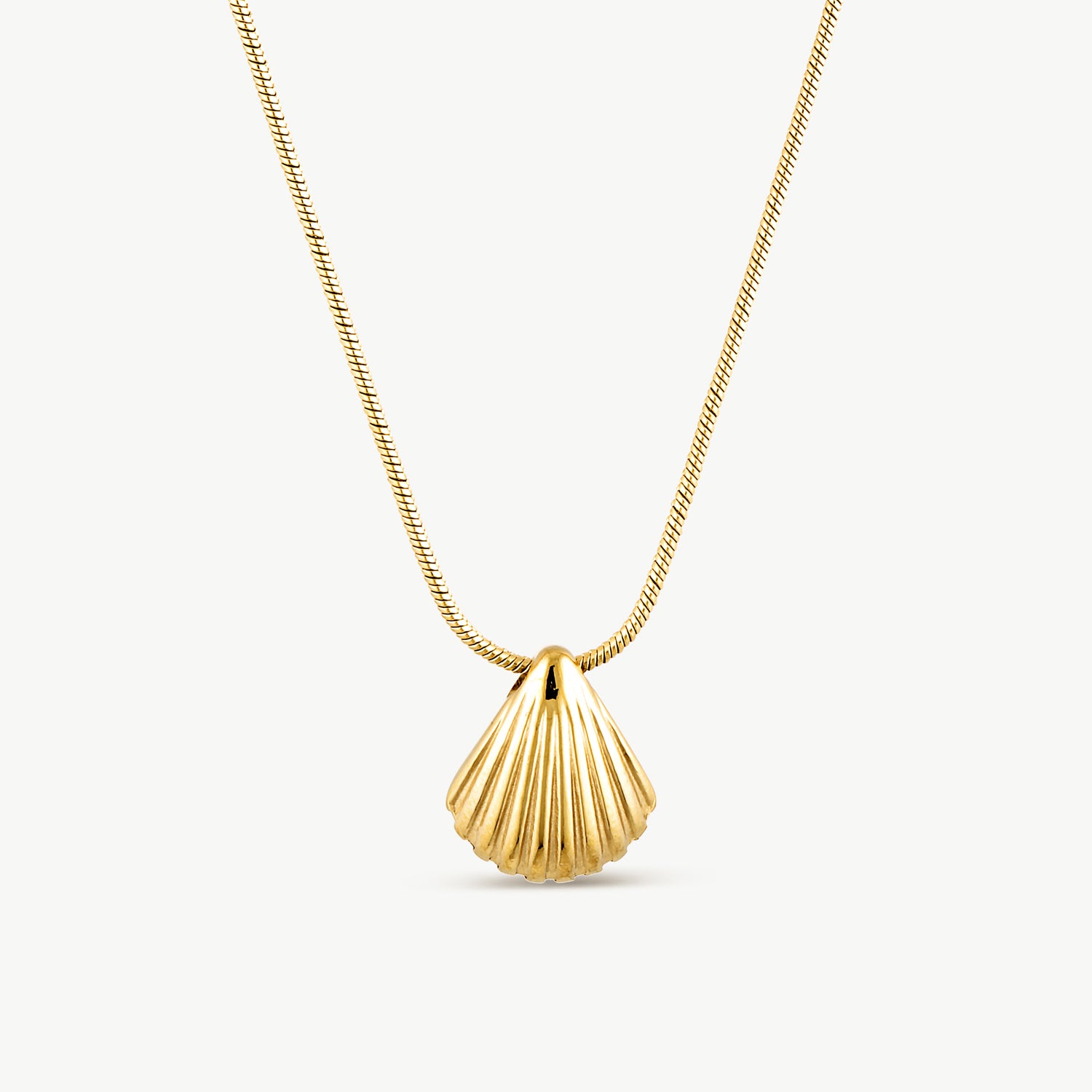 Shell Gold Necklace