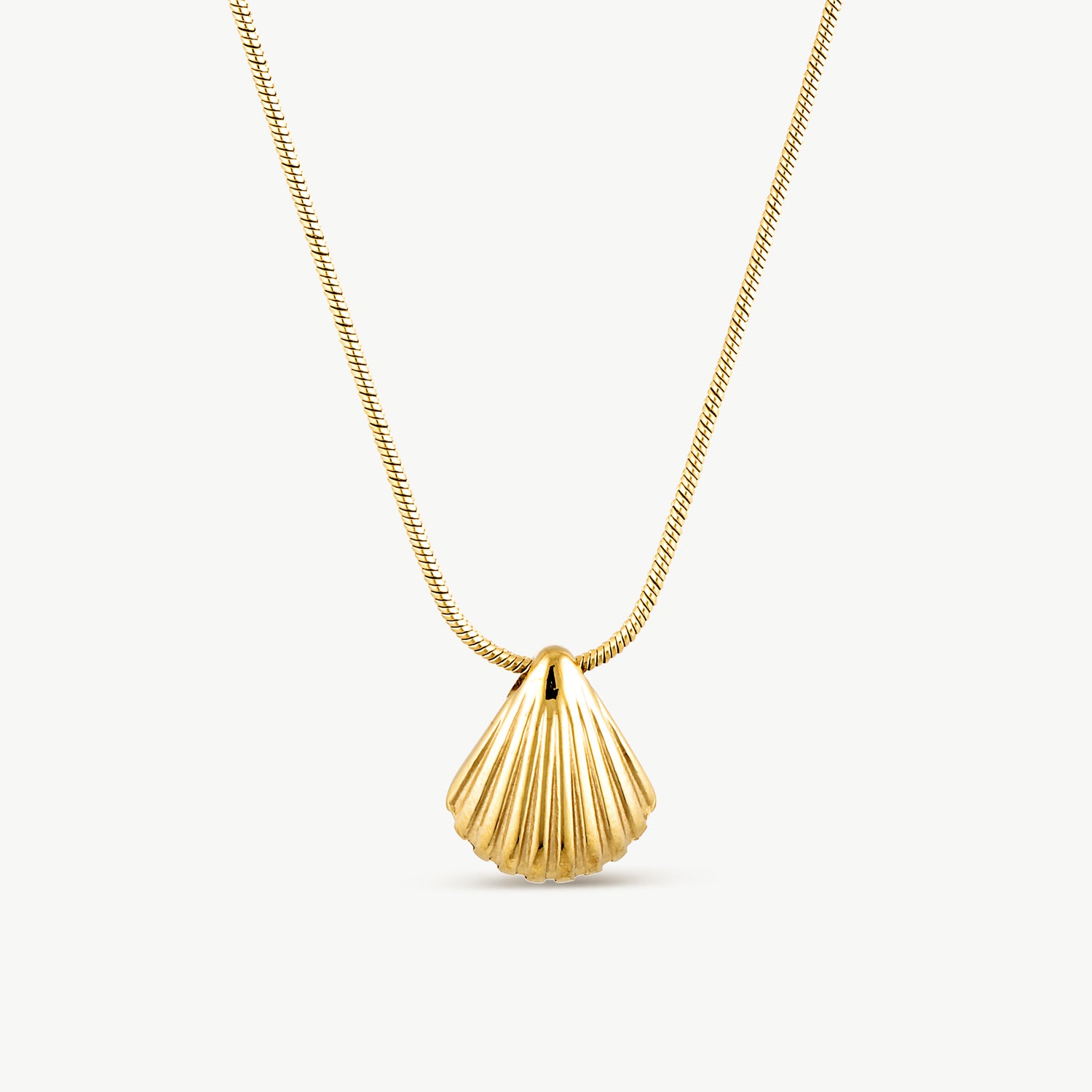 Shell Gold Necklace – ENDLESS & CO.