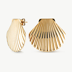 Scallop Earrings