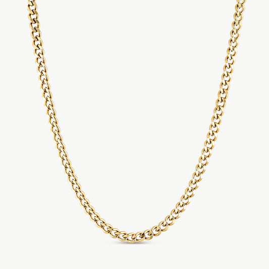 Naomi Gold Necklace