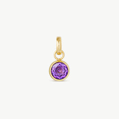 Birthstone Charm