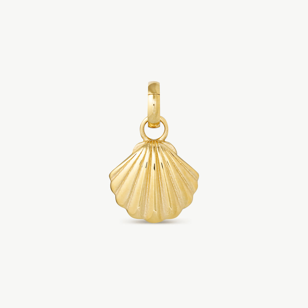 Shell Charm