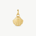 Shell Charm