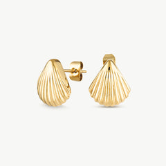 Shell Gold Studs