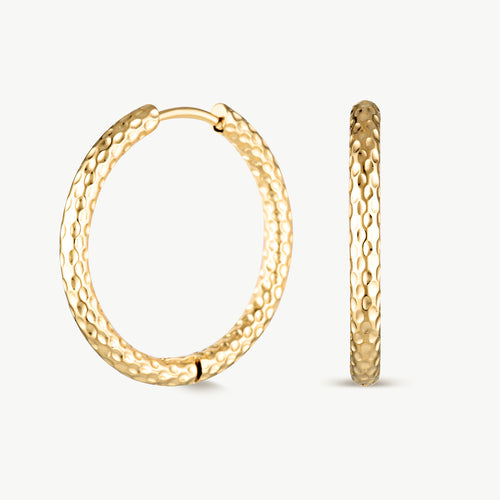Abigail Hoops