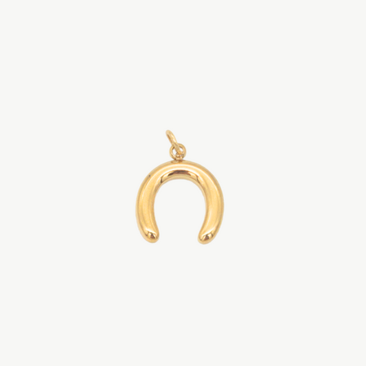 Horseshoe Charm